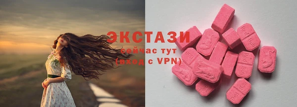 apvp Богородицк