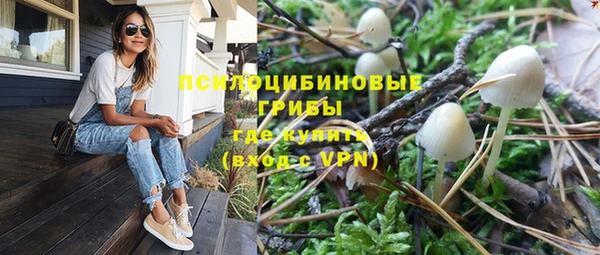 spice Бронницы