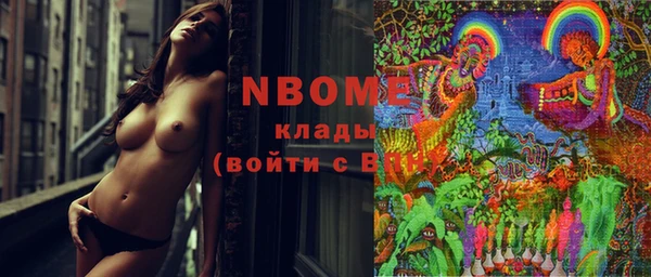 apvp Богородицк