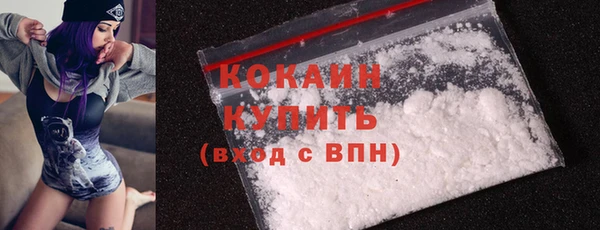 apvp Богородицк